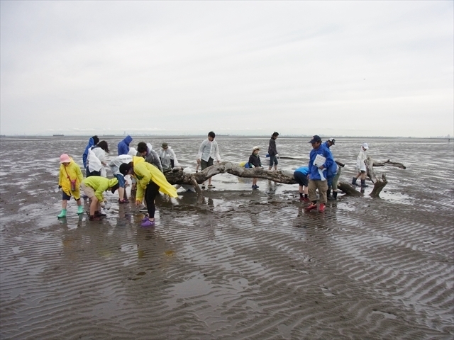 この流木は普段は海に沈んでいて見えません