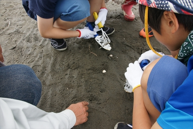 大森さんが「カニの砂団子だよ」と教えてくれました