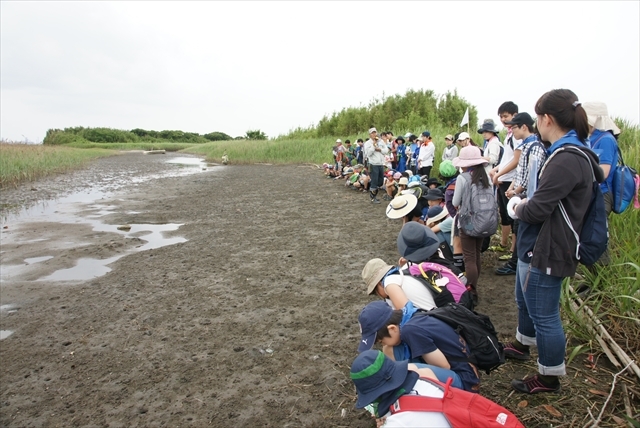 あたりに「カチカチ」音が響き渡ります