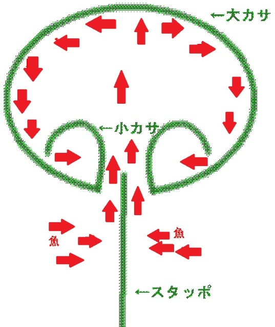 すだて漁は直径約20ｍほどの円形の中で行います